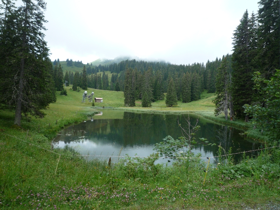 See Portes des Culet.jpg